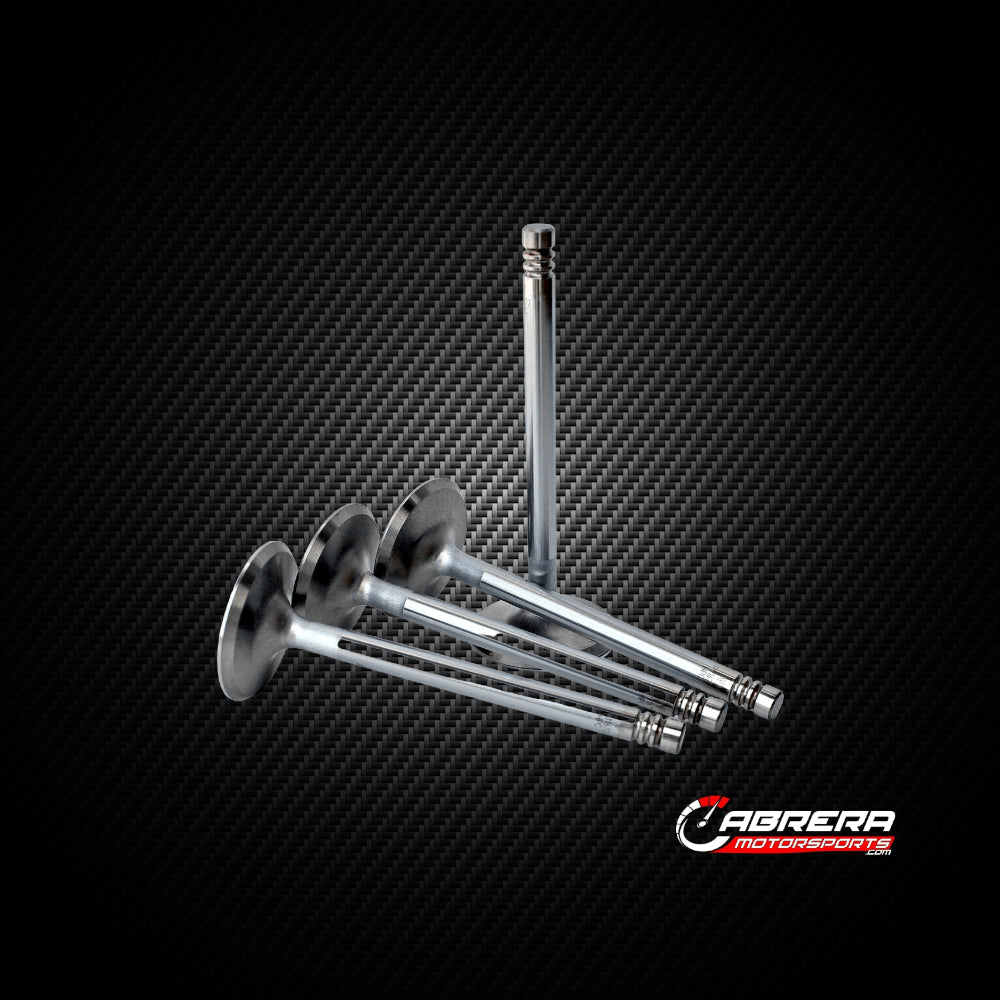 APE Stainless Steel Exhaust Valves | High Performance
