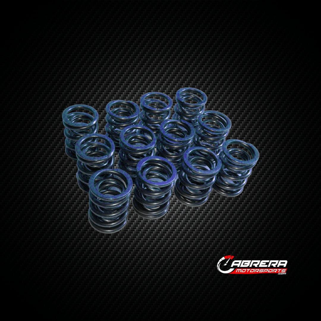 APE High Lift Cam Valve Spring Set Cabrera MotorSports Cabrera